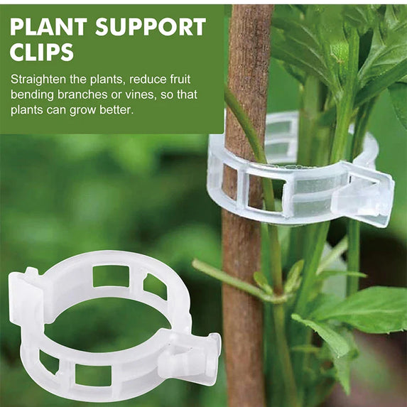 Plant Clips Supports Reusable Plastic Connects Fixing Vine Tomato Stem Grafting Vegetable Plants Orchard and Garden Tools