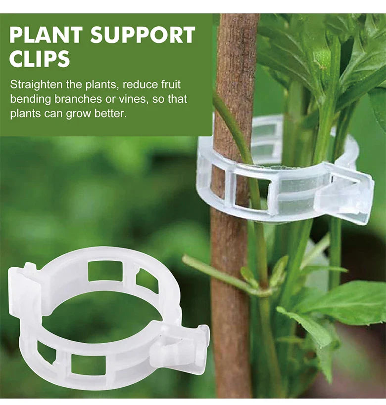 Plant Clips Supports Reusable Plastic Connects Fixing Vine Tomato Stem Grafting Vegetable Plants Orchard and Garden Tools