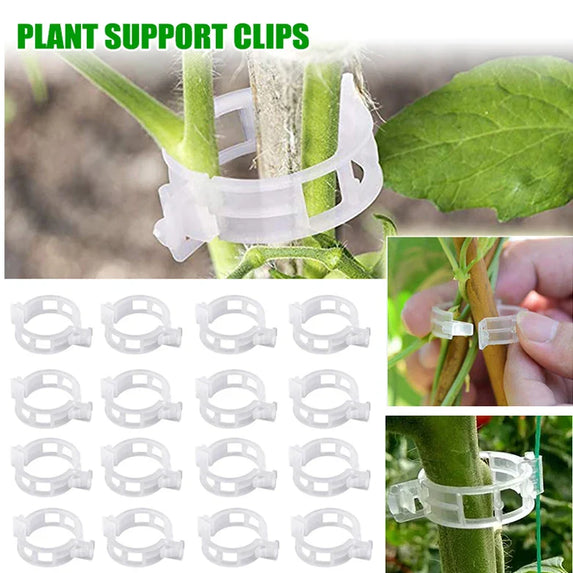 Plant Clips Supports Reusable Plastic Connects Fixing Vine Tomato Stem Grafting Vegetable Plants Orchard and Garden Tools