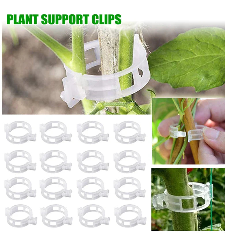 Plant Clips Supports Reusable Plastic Connects Fixing Vine Tomato Stem Grafting Vegetable Plants Orchard and Garden Tools