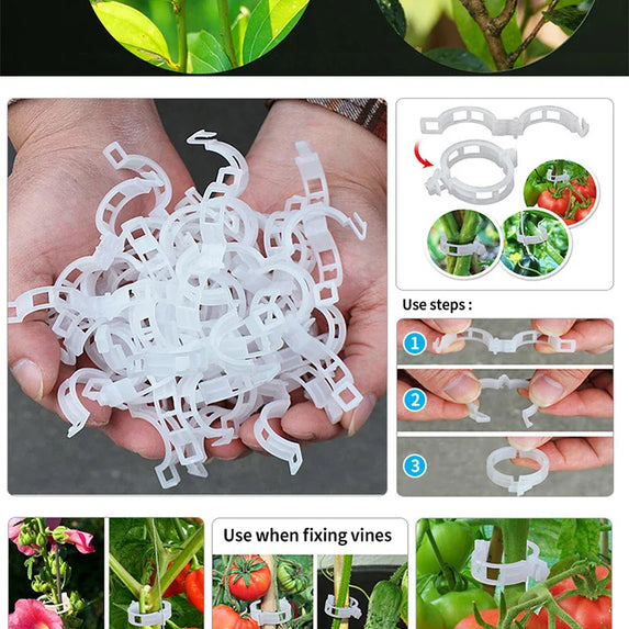 Plant Clips Supports Reusable Plastic Connects Fixing Vine Tomato Stem Grafting Vegetable Plants Orchard and Garden Tools