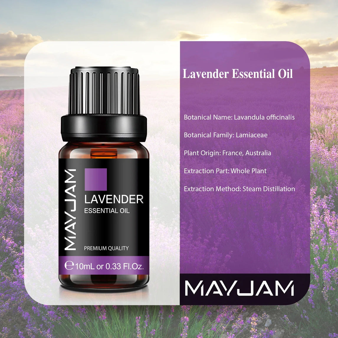 MAYJAM 10ML Lavender Lemongrass Jasmine Vanilla Eucalyptus Rose Lemon Essential Oil For Humidifier Diffuser Candle Making