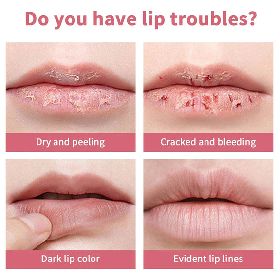 Black Honey Lipstick Long Lasting Moisturizing Natural Lip Plumper Makeup Lip Plumping Gloss Cosmetics Exfoliating for Lip