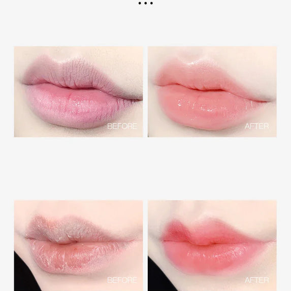 4/6/8pcs Moisturizing Lip Balm Set Whitening Moisturizing Base Natural Plant Base Moisturizing Crack Lip Care Jelly Moisturizer