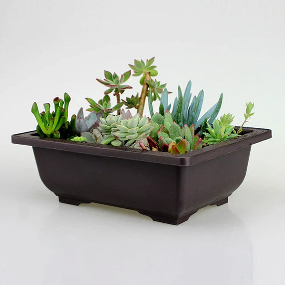 Flowerpots Imitation Purple Clay Succulent Plants Pots Outdoor Garden Landscape Bonsai Pot Trays Rectangular Square Planter