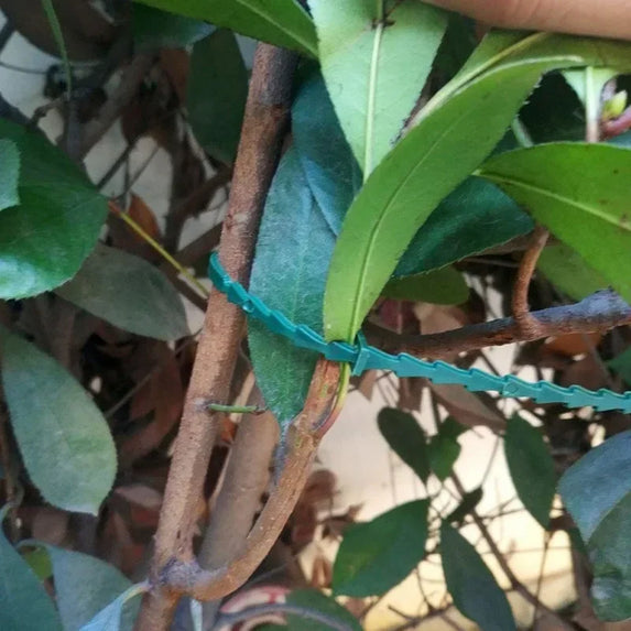 Reusable Garden Cable Ties Plant Vine Tree Shrubs Support Fastener Locking Nylon Adjustable Zipper Cables Ties Organizer Tools