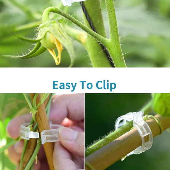 Plant Clips Supports Reusable Plastic Connects Fixing Vine Tomato Stem Grafting Vegetable Plants Orchard and Garden Tools