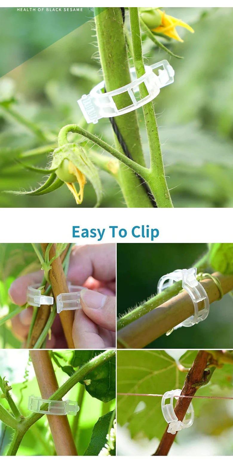 Plant Clips Supports Reusable Plastic Connects Fixing Vine Tomato Stem Grafting Vegetable Plants Orchard and Garden Tools