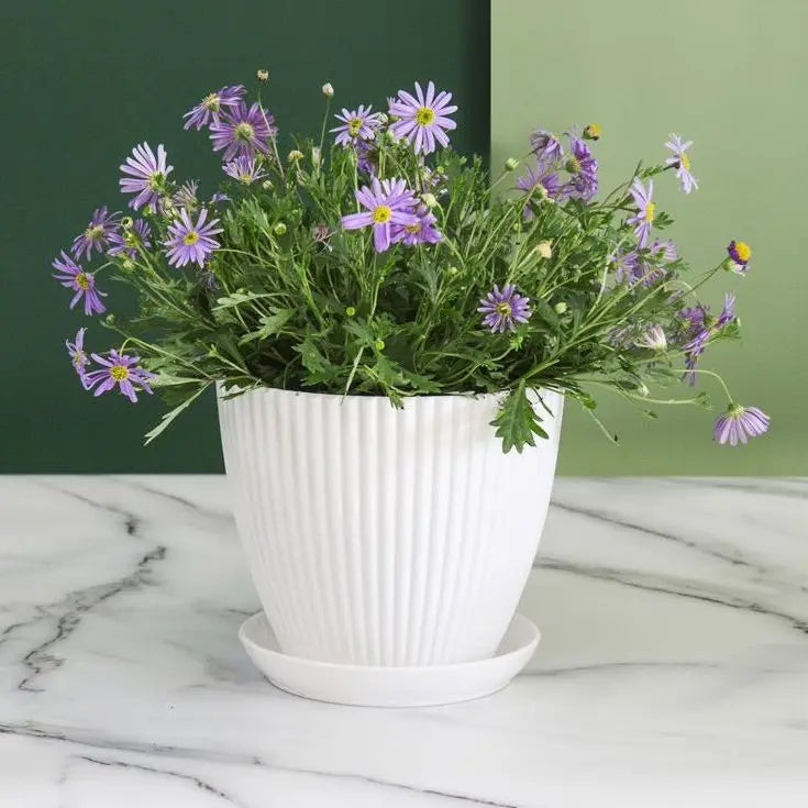 Flower Pot Round Planters Succulents Plant Pot with Tray Office Desktop Balcony Home Garden Decoration Outdoor Potted 5 Sizes