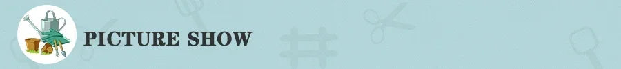 12 Set Plant Support Pile Half Round Climbing Vines Stake Bonsai Fixing Rod Garden Plant Stake Holder Flower Ring Support Rack