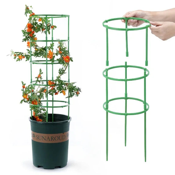 12 Set Plant Support Pile Half Round Climbing Vines Stake Bonsai Fixing Rod Garden Plant Stake Holder Flower Ring Support Rack