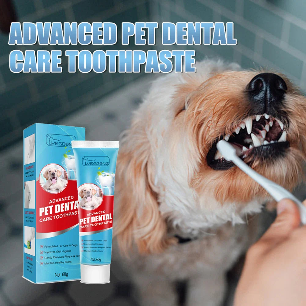 60g Cat Edible Toothpaste Remove Tartar Puppy Kitten Dog Cat Toothpaste Teeth Cleaning Dog Cat Edible Toothpaste Pet Accessories