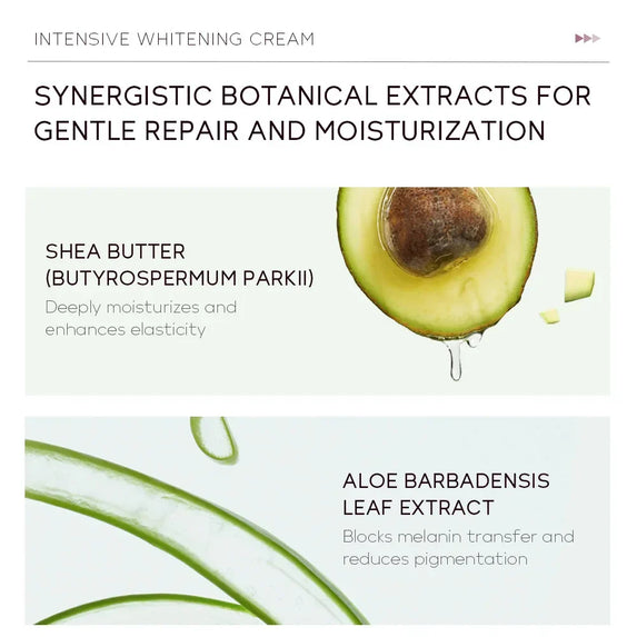 Whitening Cream For Dark Skin Underarm Bleaching Armpit Lightening And Intimate Area Woman Moisturizer Korean Skin Care Products