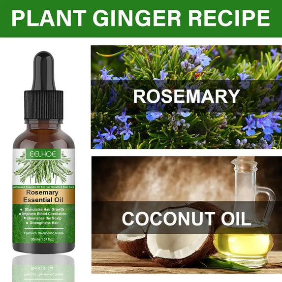 Rosemary Essentiall Oil Hair Growth Products Organic  Products Scalp Hair Strengthening Oil For Nourish Shiny  Healthy