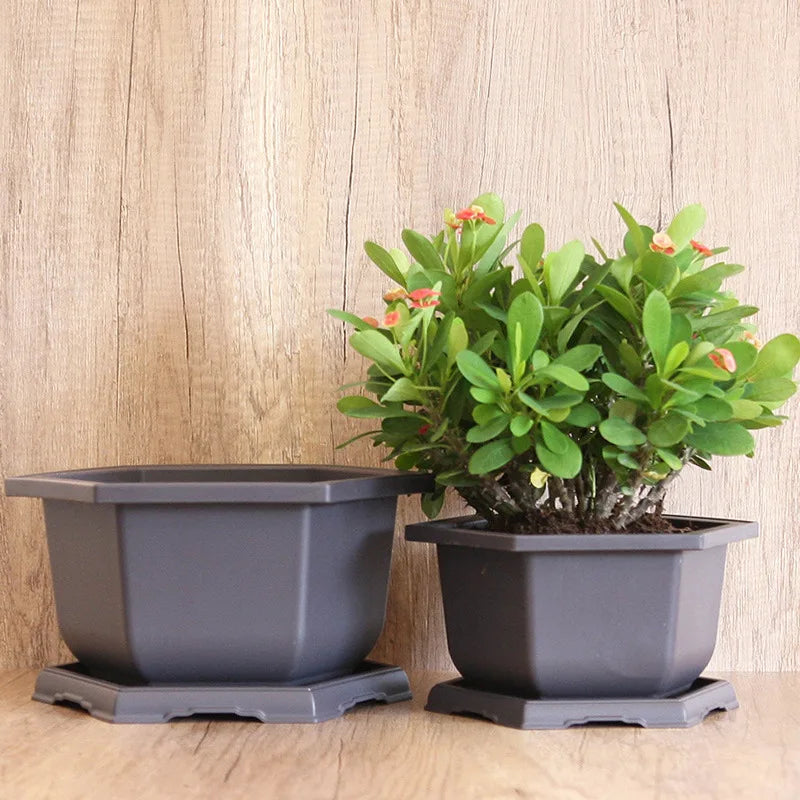 Flowerpots Imitation Purple Clay Succulent Plants Pots Outdoor Garden Landscape Bonsai Pot Trays Rectangular Square Planter