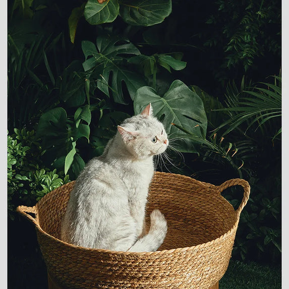 OUZEY Rattan Weaving Basket For Cat Comfortable Sleeping Pet Dog Bed Summer Cool Weave Cat House Donut Round Kitten Puppy Bed