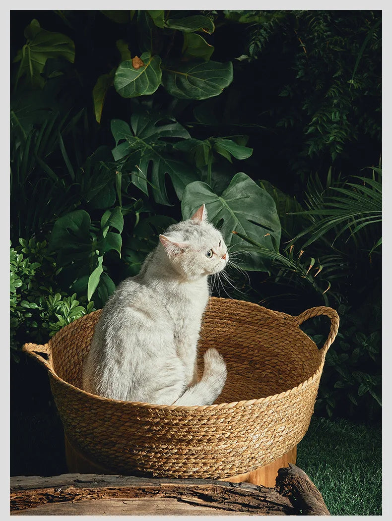 OUZEY Rattan Weaving Basket For Cat Comfortable Sleeping Pet Dog Bed Summer Cool Weave Cat House Donut Round Kitten Puppy Bed