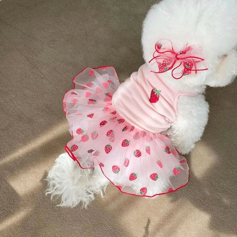 Summer Strawberry Dress for Dog Pet Clothing Dog Suspender Skirt Dog Clothes Cats Puppy Print Cute  Mesh Dress Pet Supplies