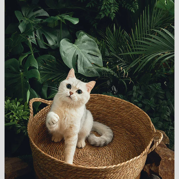 OUZEY Rattan Weaving Basket For Cat Comfortable Sleeping Pet Dog Bed Summer Cool Weave Cat House Donut Round Kitten Puppy Bed