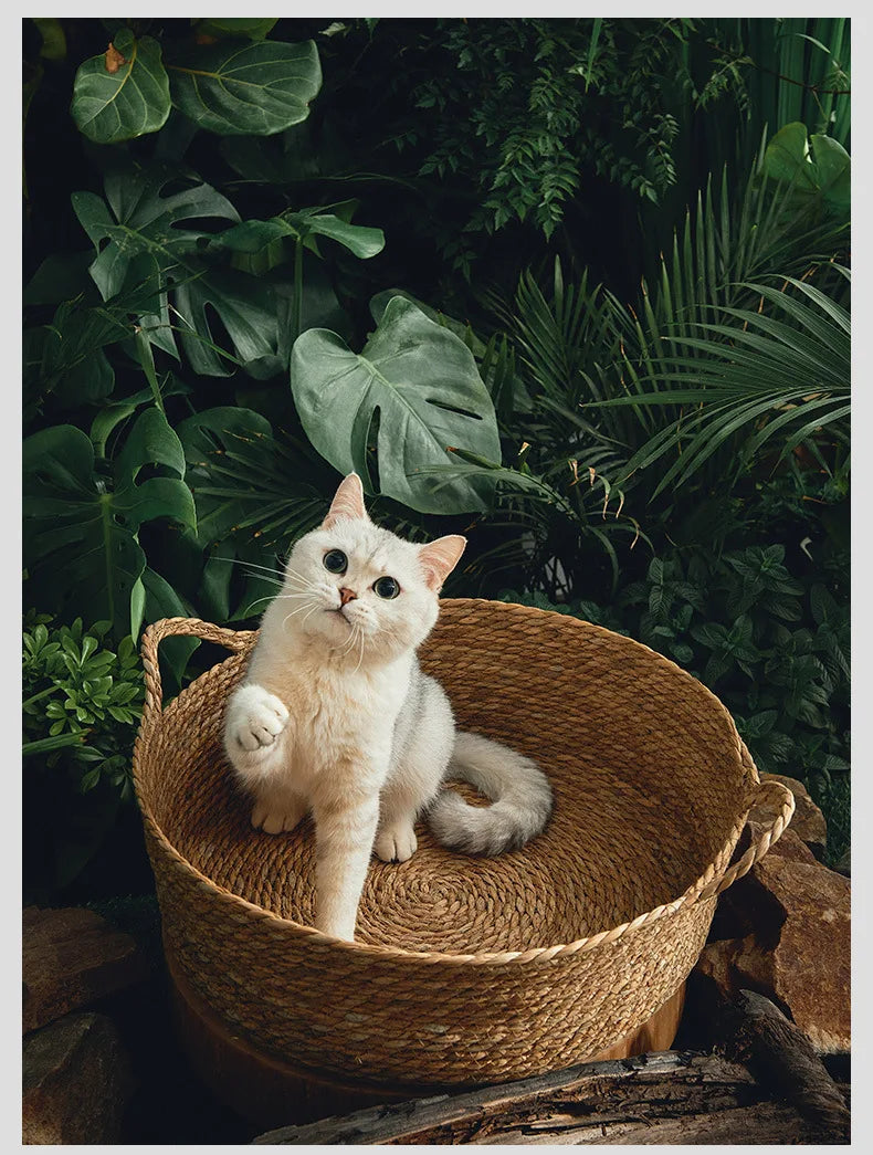 OUZEY Rattan Weaving Basket For Cat Comfortable Sleeping Pet Dog Bed Summer Cool Weave Cat House Donut Round Kitten Puppy Bed