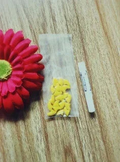 Hot Sale 20Pcs Colorful Soft Pet Dog Cat Kitten Paw Claw Control Nail Caps Claw Control Paws off + 1 pcs Adhesive Glue Security