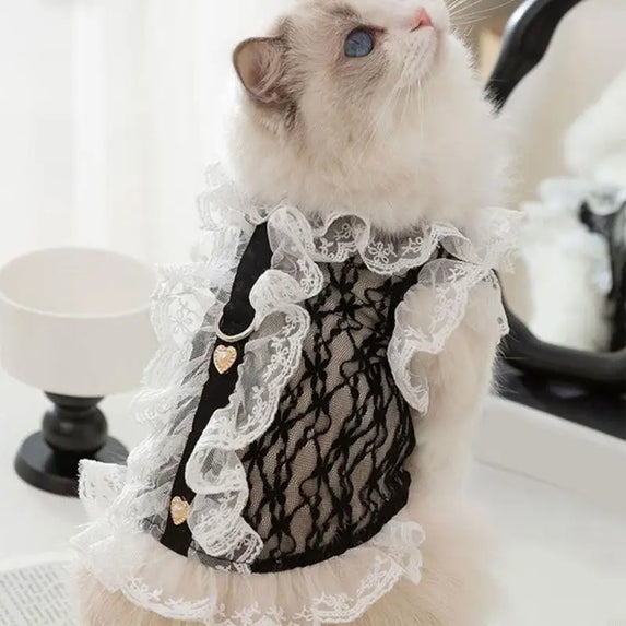 02DB Elegant Laces Pet Vest Permeable Laces Edges Suspended Tanks Top Pet Clothes for Small Dogs And Pet Lover