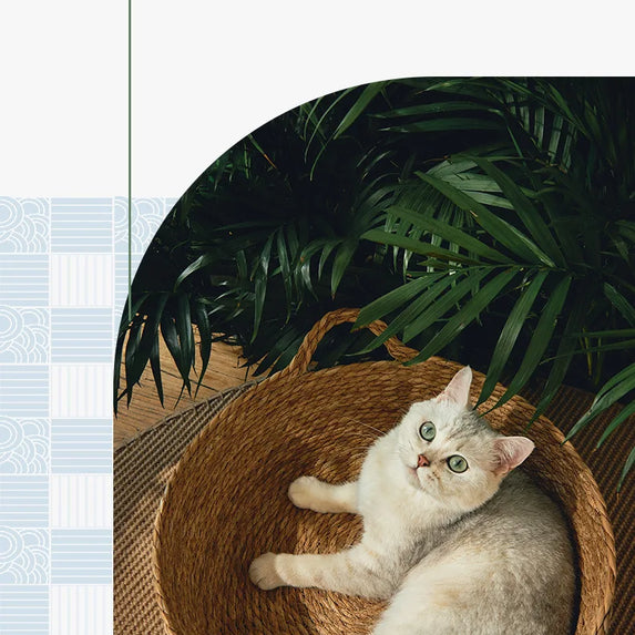 OUZEY Rattan Weaving Basket For Cat Comfortable Sleeping Pet Dog Bed Summer Cool Weave Cat House Donut Round Kitten Puppy Bed