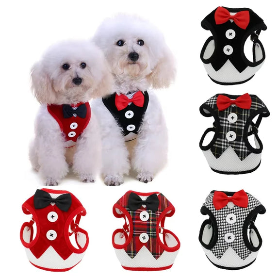 Elegant Bowtie Dog Harness Vest with Leash Adjustable Cat Harness Leash Set Cute Bowknot Tuxedo Suit for Kitten Puppy